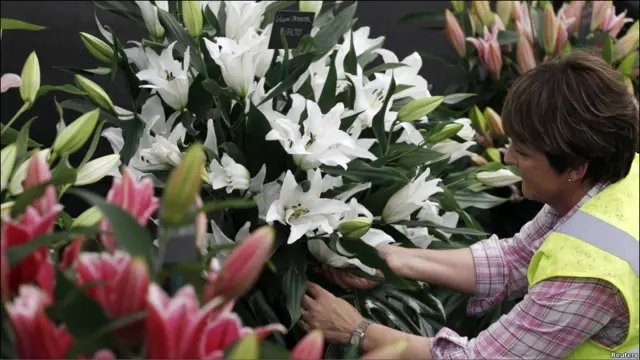 Садовница с лилиями