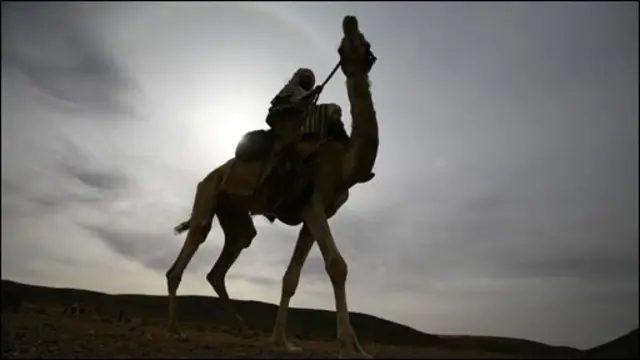 فيلم الرحلة إلى مكة حول ابن بطوطة