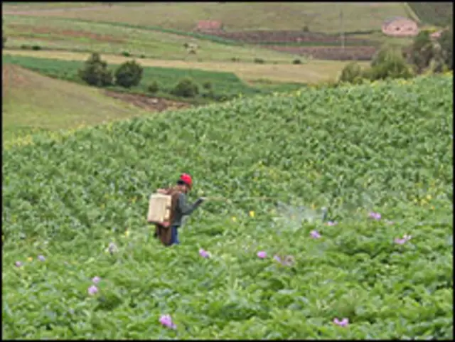 Campesino fumigando