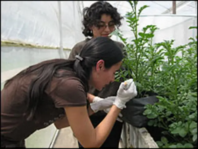 Katja Poveda y María Isabel Gómez