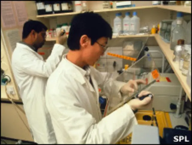 лаборатория аллергии