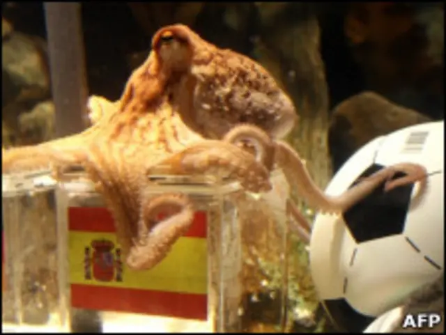 Осьминог Пауль