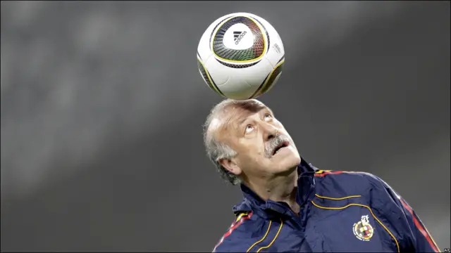 Винсенте дель Боске, тренер сборной Испании