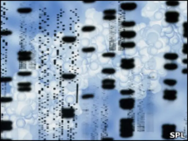 Цепи молекулы ДНК