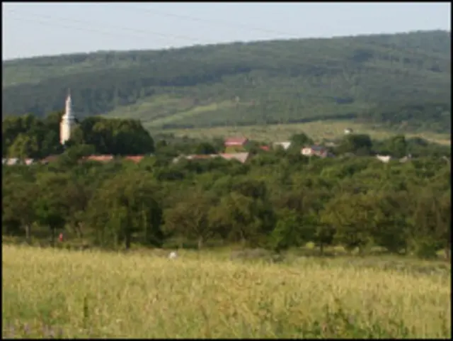 Закарпаття