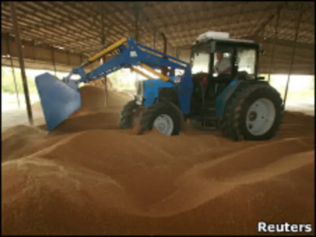 Трактор разгружает зерно