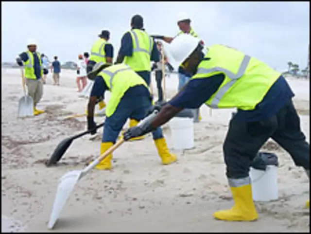 جهود مكافحة التلوث النفطي