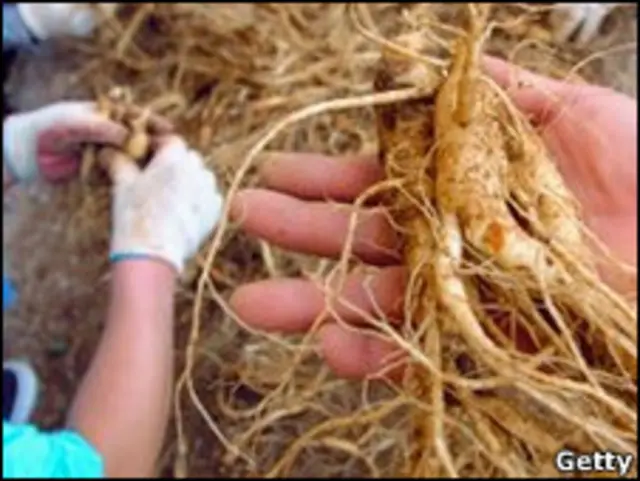Ginseng