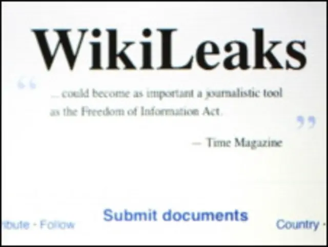 Situs Wikileaks