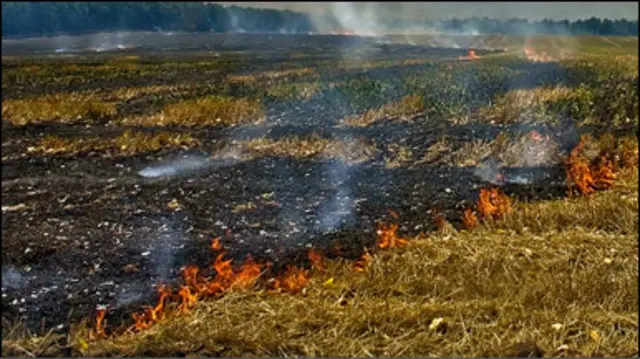 Вигорілі поля