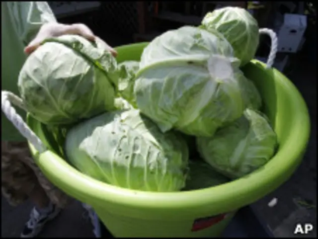 Качанная капуста