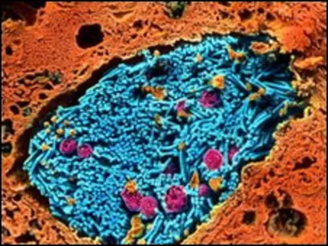 Gayrioddiy jinsiy aloqa mashinasi Biseksual juftliklar