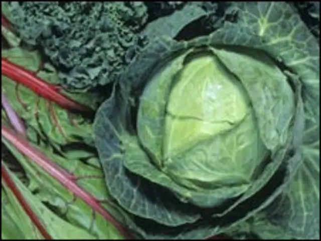 Sayur berdaun hijau lebat