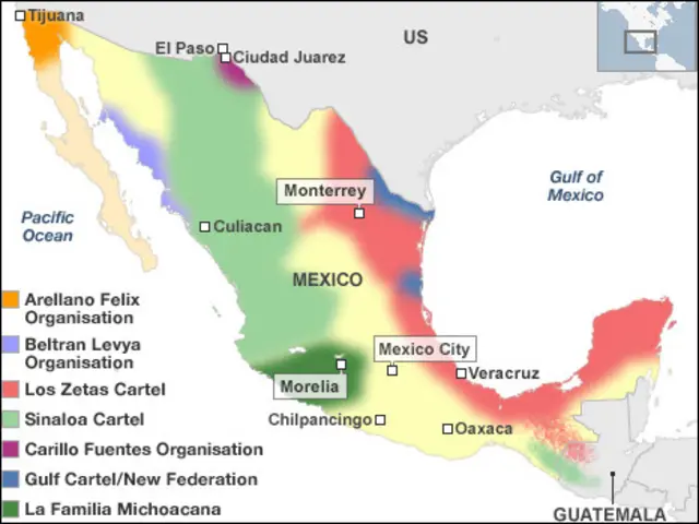 Pembunuhan terjadi karena merebutkan pimpinan kartel narkoba yang tersebar di Meksiko