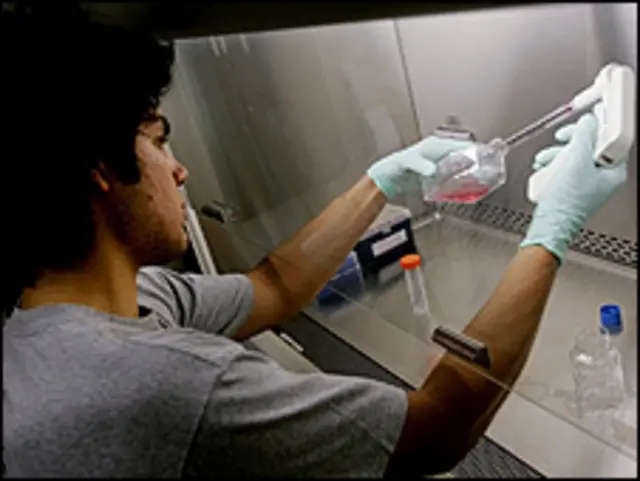 ابتدائی طور پر تجربے کا مقصد یہ دیکھنا ہے کہ یہ علاج کتنا محفوظ ہے 