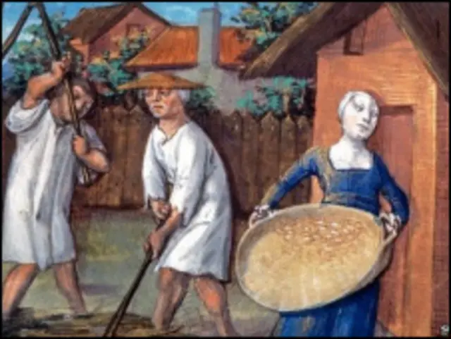 Молотьба в средневековой Европе