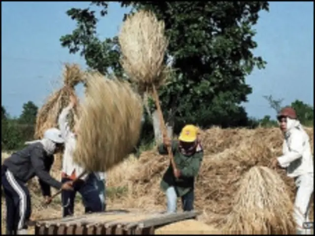 Обработка зерна в Африке