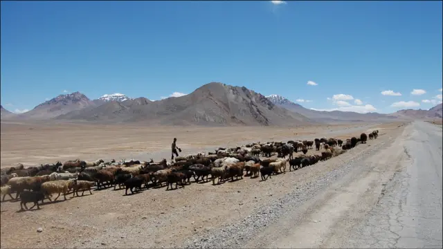 Мурғоб Бадахшоннинг энг баланд ва иқлим шароити оғир тумани. Бу жойларда дарахт ўсмайди, қишда ҳаво ҳарорати минус 50 даражагача тушиб кетади.