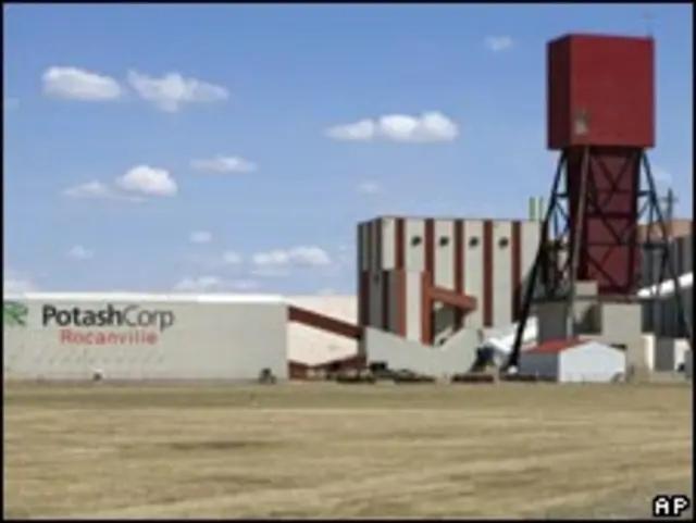 加拿大钾肥公司（资料照片）