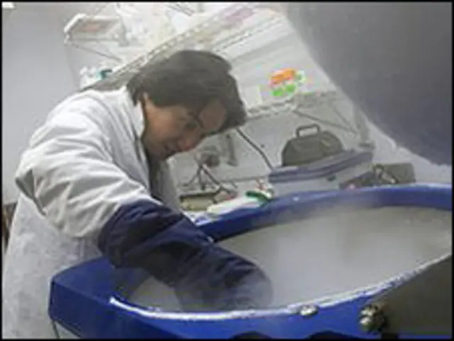 Kök hücreler üzerinde çalışan bir bilim adamı