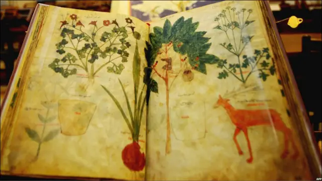 Thư viện Vatican được Đức Giáo hoàng Nicholas V cho khởi xây vào khoảng thời gian năm 1450, với số lượng ban đầu chừng 350 bản viết tay.