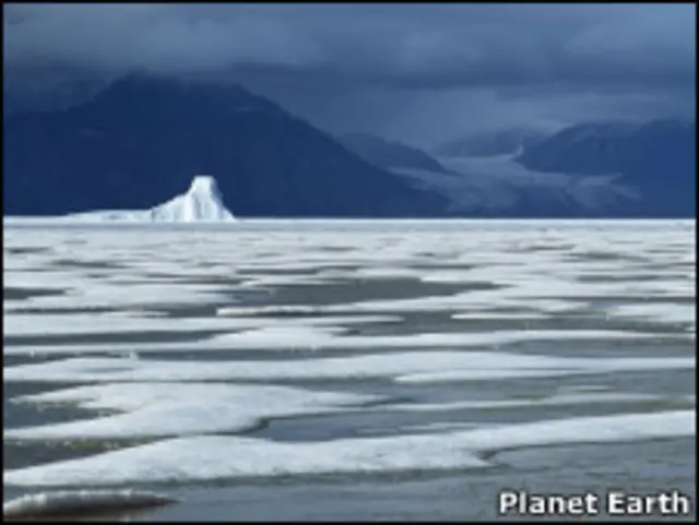 Тающий лед у канадского побережья