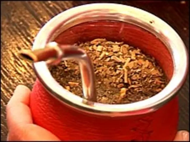 Yerba mate