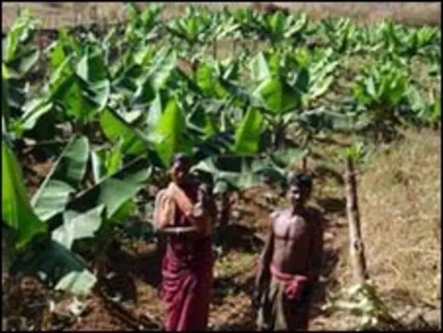 कालाहांडी