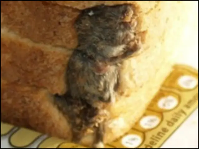 一只死老鼠“镶嵌”在面包中