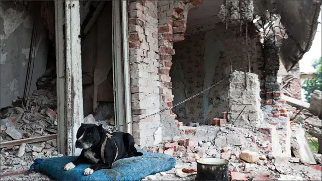 گروزنی کا مرکز تو تعمیر ہو گیا ہے لیکن اس کے اطراف میں شہر ابھی بھی جنگ کی تباہ کاری کا حال بیان کرتے ہیں۔ 