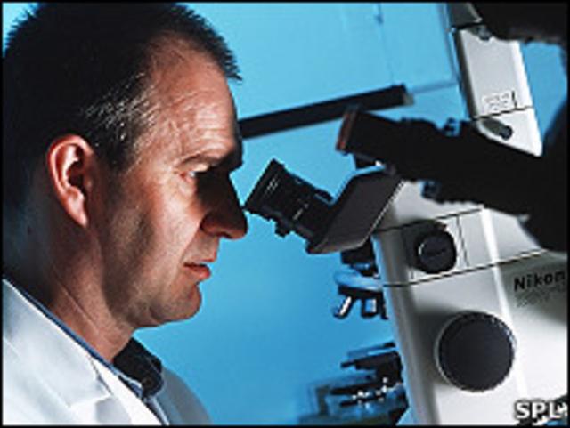 科研人员在实验室内使用显微镜（资料图片）
