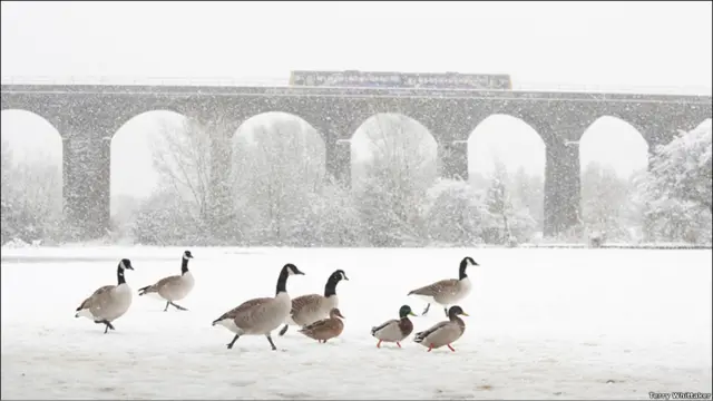 British Wildlife Photography Awards