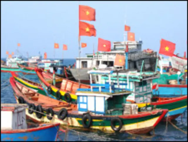 Thuyền cá Quảng Ngãi (ảnh của VnExpress)