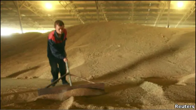 Експорт українського зерна уряд квотує