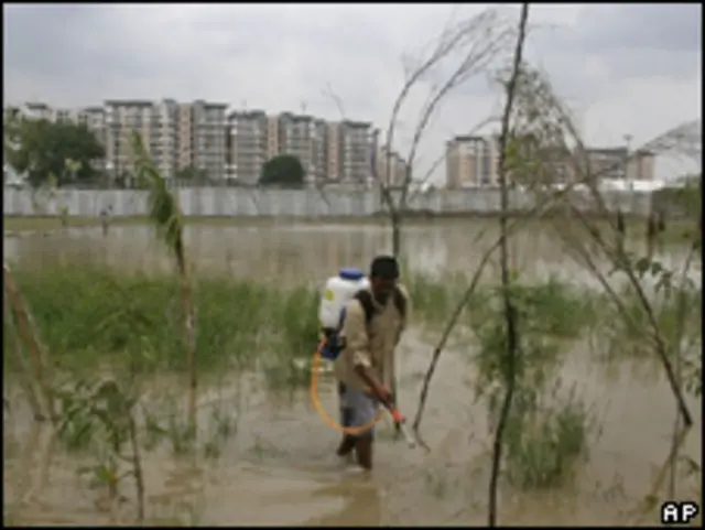 Борьба с комарами