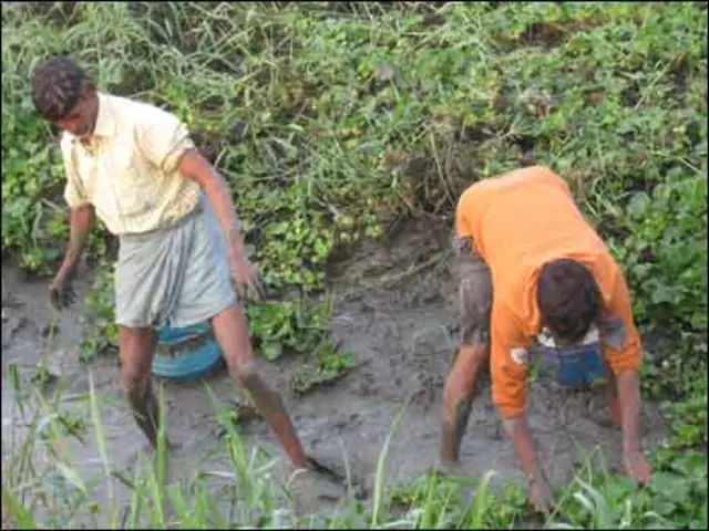 बिहार में किसान