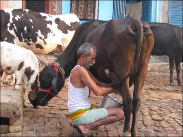 बिहार में एक किसान