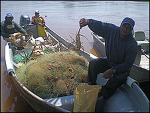 Pescadores de langostas en Barra del Colorado, Costa Rica.