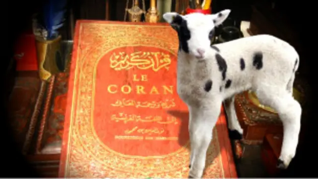 Kurban Bayramı'nın İspanyolca adı 'Fıesta del Cordero', Koyun Bayarım anlamına geliyor