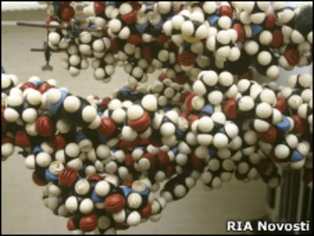 Модель молекулы феромона