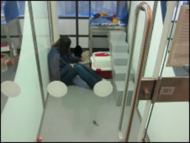 кошачий вольер