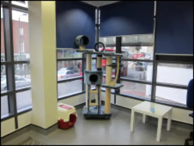 комната в приюте Баттерси