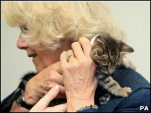 герцогиня Корнуольская