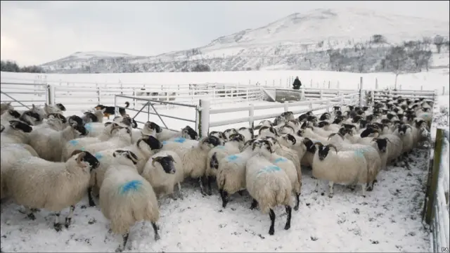 Зима в Британии