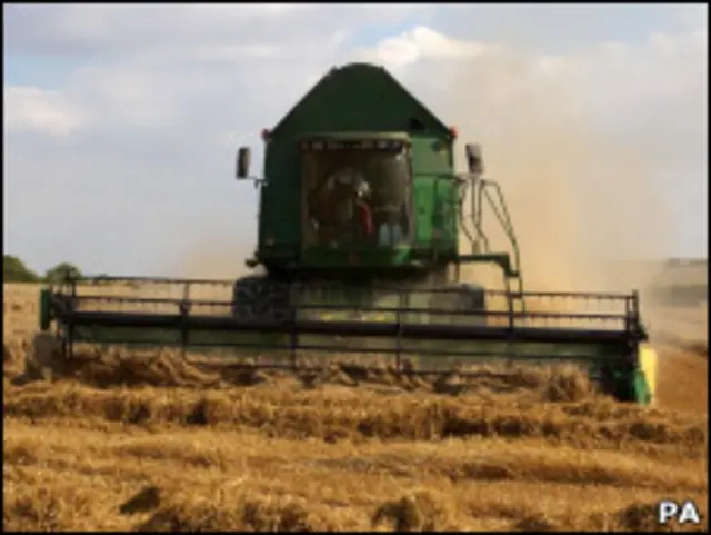 Комбайн на кукурузном поле