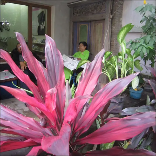 Ratna Indraswari Ibrahim