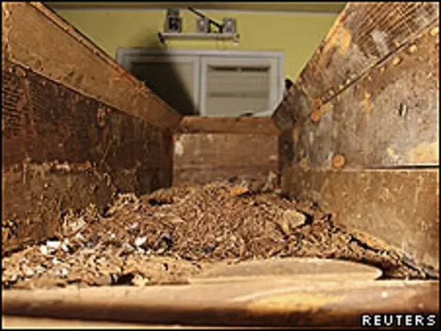 Peti Lee Harvey Oswald