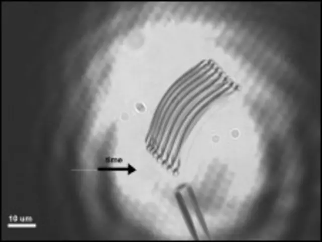 эксперимент