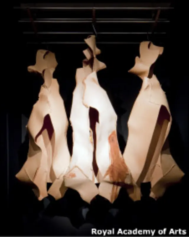 жилетки Дая Риза