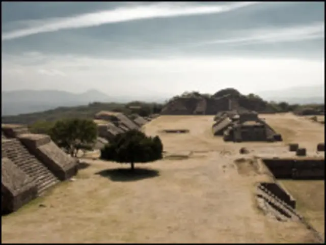 Andrea López-Portillo